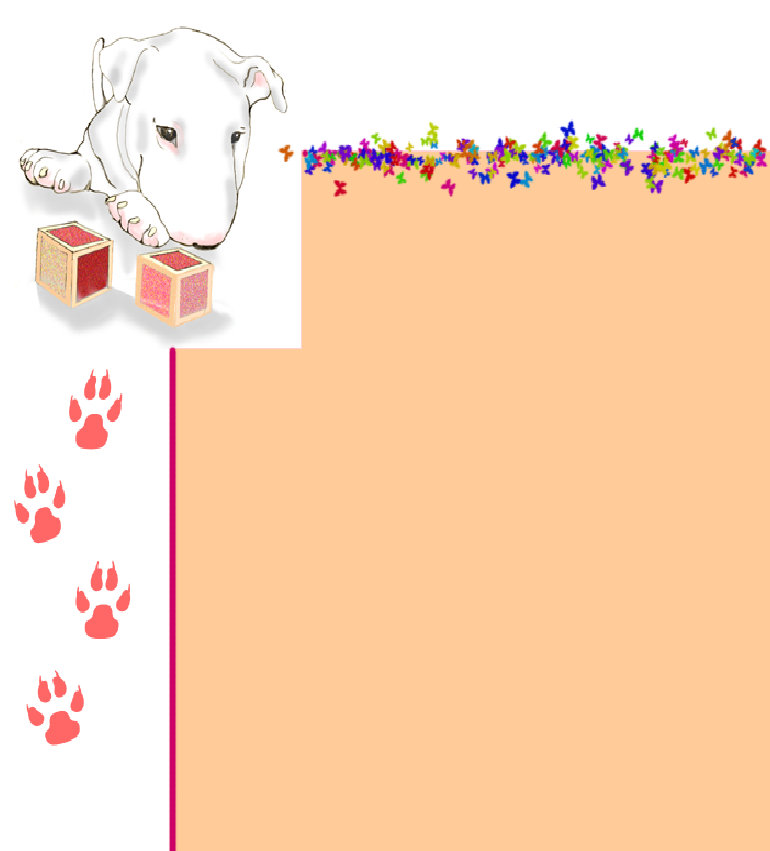 kennel_calypso_master_file_february_2011007019.jpg